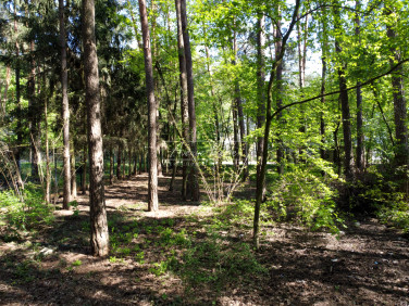 Działka budowlana Magdalenka