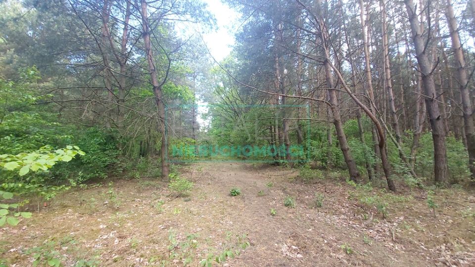 Działka Książenice