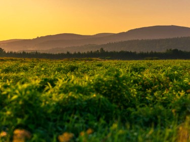 Działka budowlana Świeradów-Zdrój