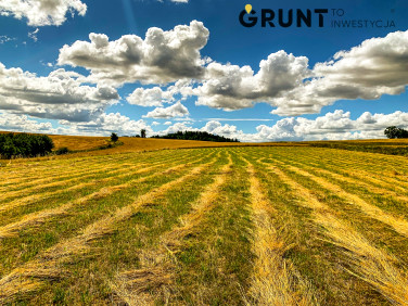 Działka Jelenia Góra