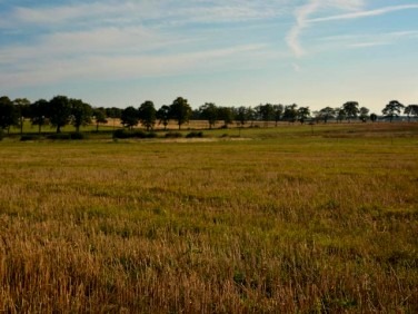 Działka budowlana Wierzchucino