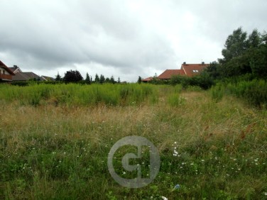 Działka usługowa Gorzów Wielkopolski wynajmę