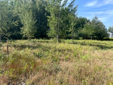 Działka przemysłowa Sulejówek