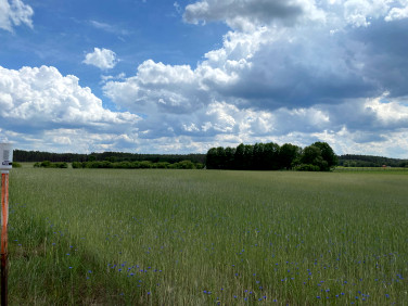 Działka rolna Silna