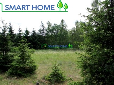 Działka rolna Prażmów