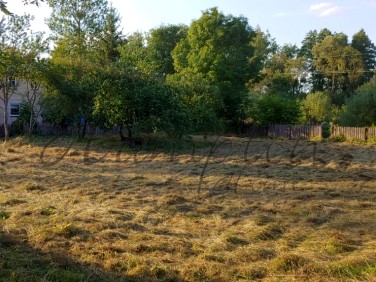 Działka siedliskowa Białowieża