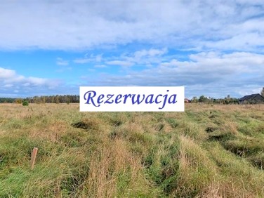 Działka Białowieża