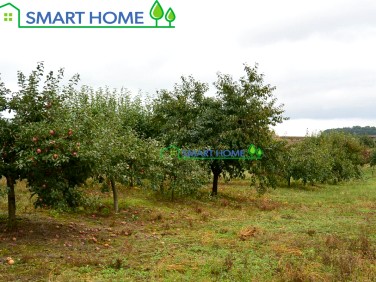 Działka budowlana Baszkówka