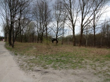 Działka budowlana Sulejówek