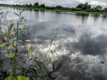 Działka budowlana Wełtyń