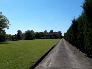 Działka siedliskowa Nysa