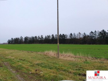 Działka budowlano-rolna Połchowo sprzedam