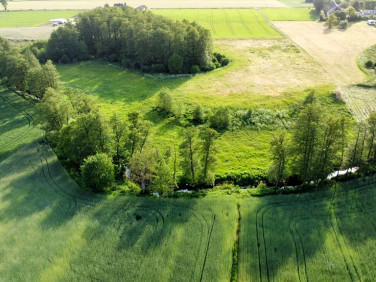 Działka Niemieczkowo