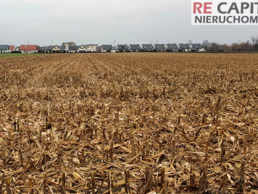 Działka budowlana Kaputy