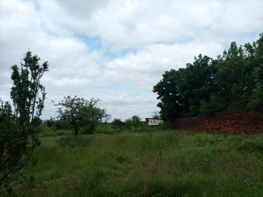 Działka rolna Wężyska