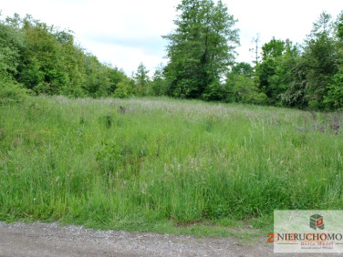 Działka usługowa Tarnów