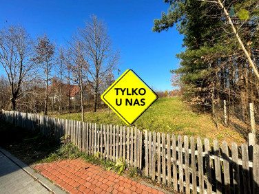 Działka budowlana Białowieża