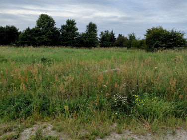 Działka budowlana Mosty