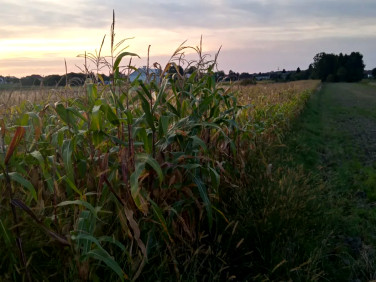 Działka budowlana Kleszczów