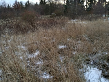 Działka budowlana Baszkówka