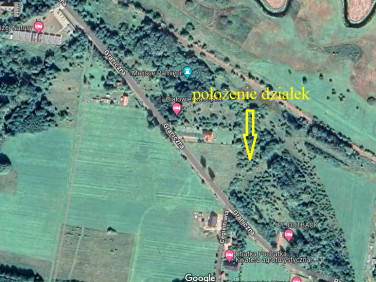 Działka budowlana Białowieża