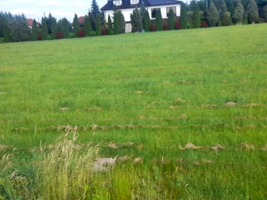 Działka budowlana Baszkówka