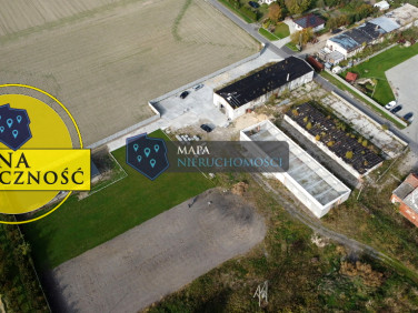 Budynek użytkowy Brzezie sprzedaż