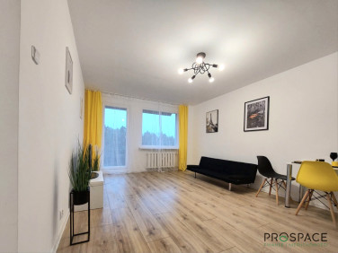 Mieszkanie Zielona Góra