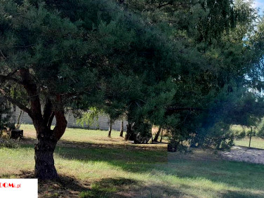 Działka budowlana Teresin