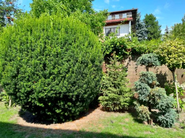 Dom Żyrardów sprzedaż