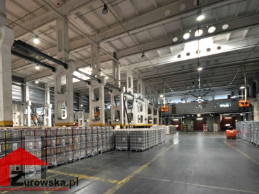 Budynek użytkowy Katowice