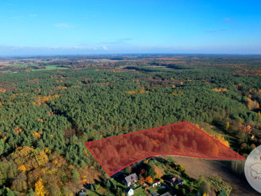 Działka siedliskowa Nowa Górka