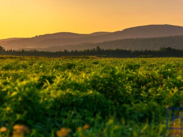Działka budowlana Świeradów-Zdrój