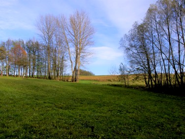 Działka inwestycyjna Wiśniowa