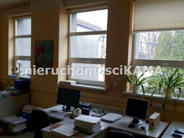 Lokal Bielsko-Biała wynajem