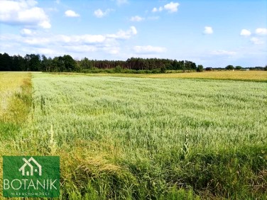 Działka rolna Krasne