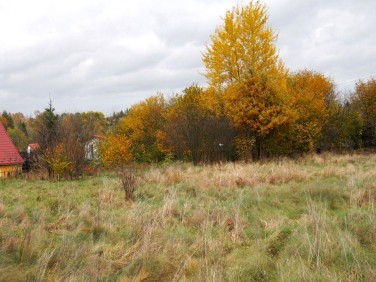 Działka Świeradów-Zdrój