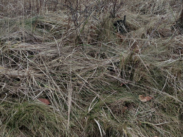 Działka inwestycyjna sprzedam