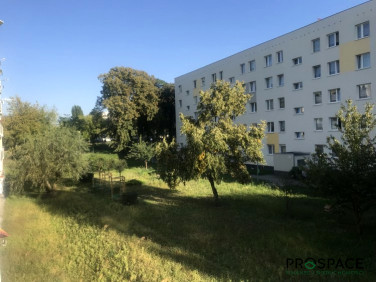 Mieszkanie Zielona Góra