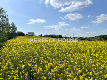 Działka budowlana Dębe