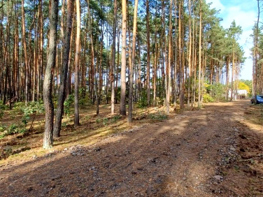 Działka budowlana Sulejówek