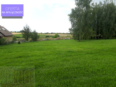 Działka nad jeziorem