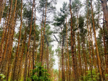 Działka budowlana Sulejówek