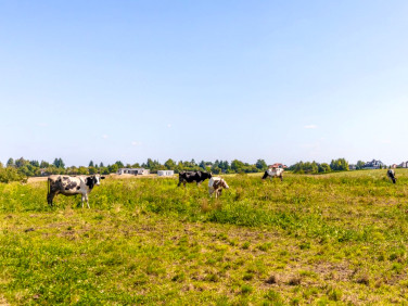Działka budowlana Uniszowice