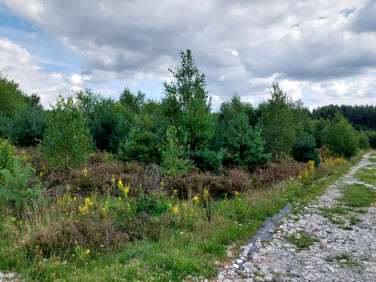 Działka budowlana Błotnia sprzedam