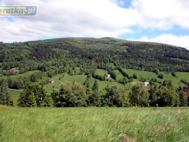 Działka budowlana Świeradów-Zdrój