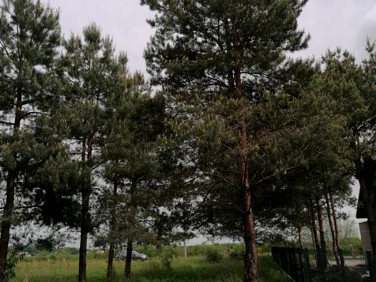 Działka budowlana sprzedam