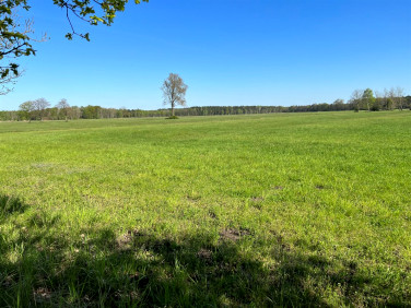 Działka usługowa Opole