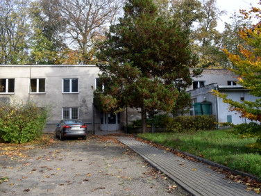 Budynek użytkowy Szprotawa