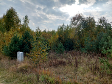 Działka budowlana Błotnia